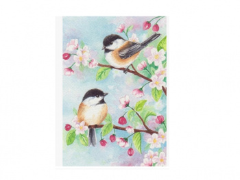 Картина по номерам арт. RAS20690 Пара птиц 20*30 в кор. Картина по номерам арт. RAS20690 Пара птиц 20*30 в кор.