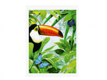 Картина по номерам арт. RAS20676 Тукан 20*30 в кор. Картина по номерам арт. RAS20676 Тукан 20*30 в кор.
