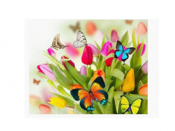 Картина по номерам арт. RAS20733 Бабочки на цветах 20*30 в кор. Картина по номерам арт. RAS20733 Бабочки на цветах 20*30 в кор.