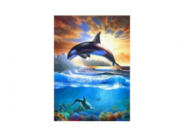Картина по номерам арт. RAS20759 Косатка 20*30 в кор. Картина по номерам арт. RAS20759 Косатка 20*30 в кор.