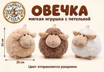 им Овечка арт. 1040-1/25 Круглая с петелькой 25 см цвета микс им Овечка арт. 1040-1/25 Круглая с петелькой 25 см цвета микс