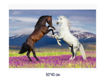 Алмазная мозаика арт. MD5112 Лошади 40*50 полная выкладка на подрамнике