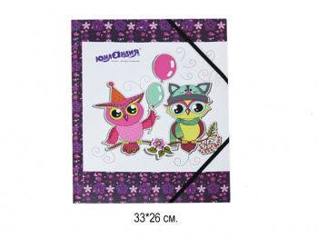 кс_Папка на резинках арт. 228048 ЮНЛАНДИЯ Умные совы А4 цветная печать до 300 л.500 мкм