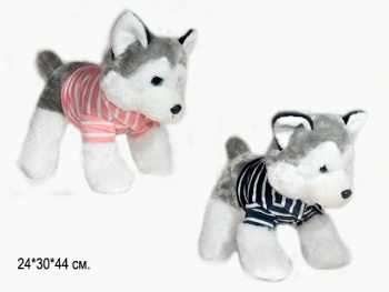 им Собака арт. 209644 Серая с белым в полосатой футболке 44 см в пак.