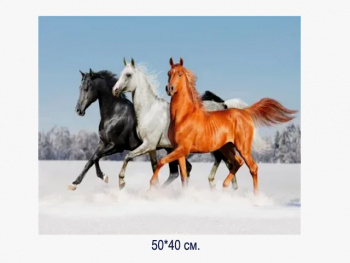 Алмазная мозаика арт. MD5104 Лошади 40*50 полная выкладка на подрамнике