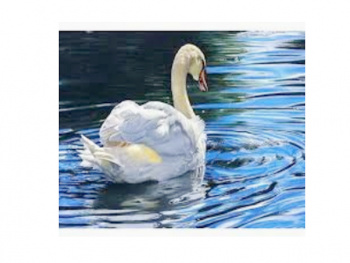 Картина по номерам арт. RA73595 Лебедь 40*50 в кор. Картина по номерам арт. RA73595 Лебедь 40*50 в кор.