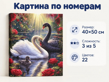 Картина по номерам арт. SAH81130 Пара лебедей черный с белым 40*50 в кор.