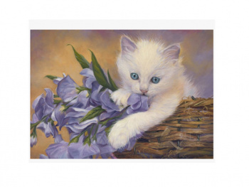 Картина по номерам арт. RAS20871 Котенок с цветами 20*30 в кор. Картина по номерам арт. RAS20871 Котенок с цветами 20*30 в кор.