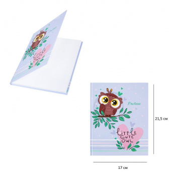 кс_Дневник 1-4 класс арт. 106594 48 л., твердый ЮНЛАНДИЯ глянцевая ламинация,с подсказом "Совушка"